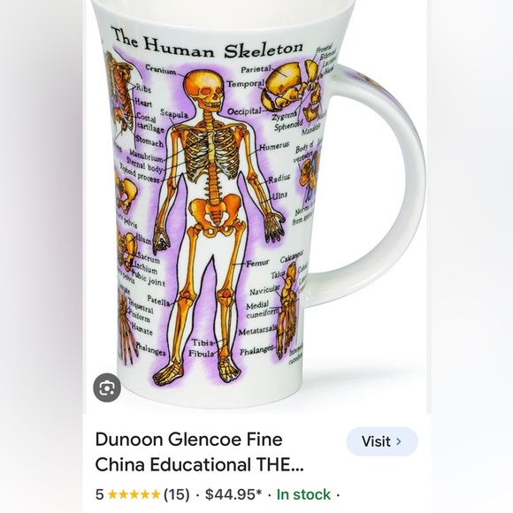 NEW Dunoon Glencoe Bone China Human Body Coffee Cup. - Picture 8 of 8